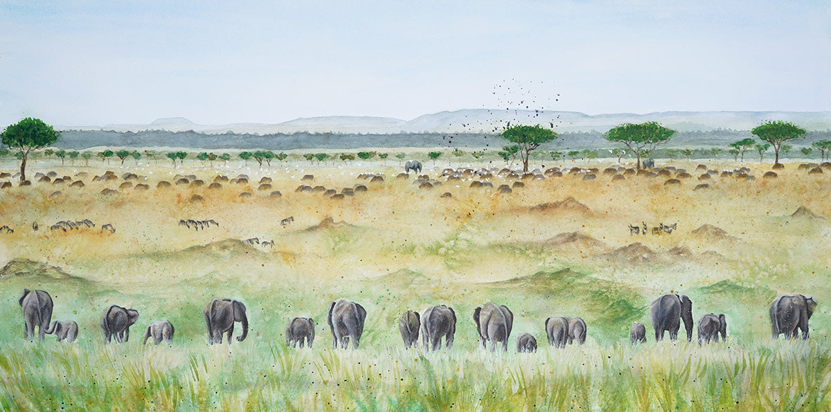 Elephant herd watercolour africa commissions