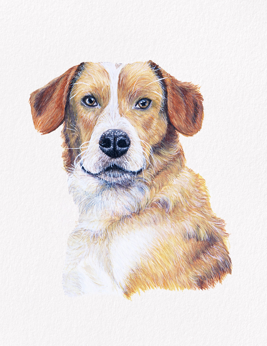 George dog portrait