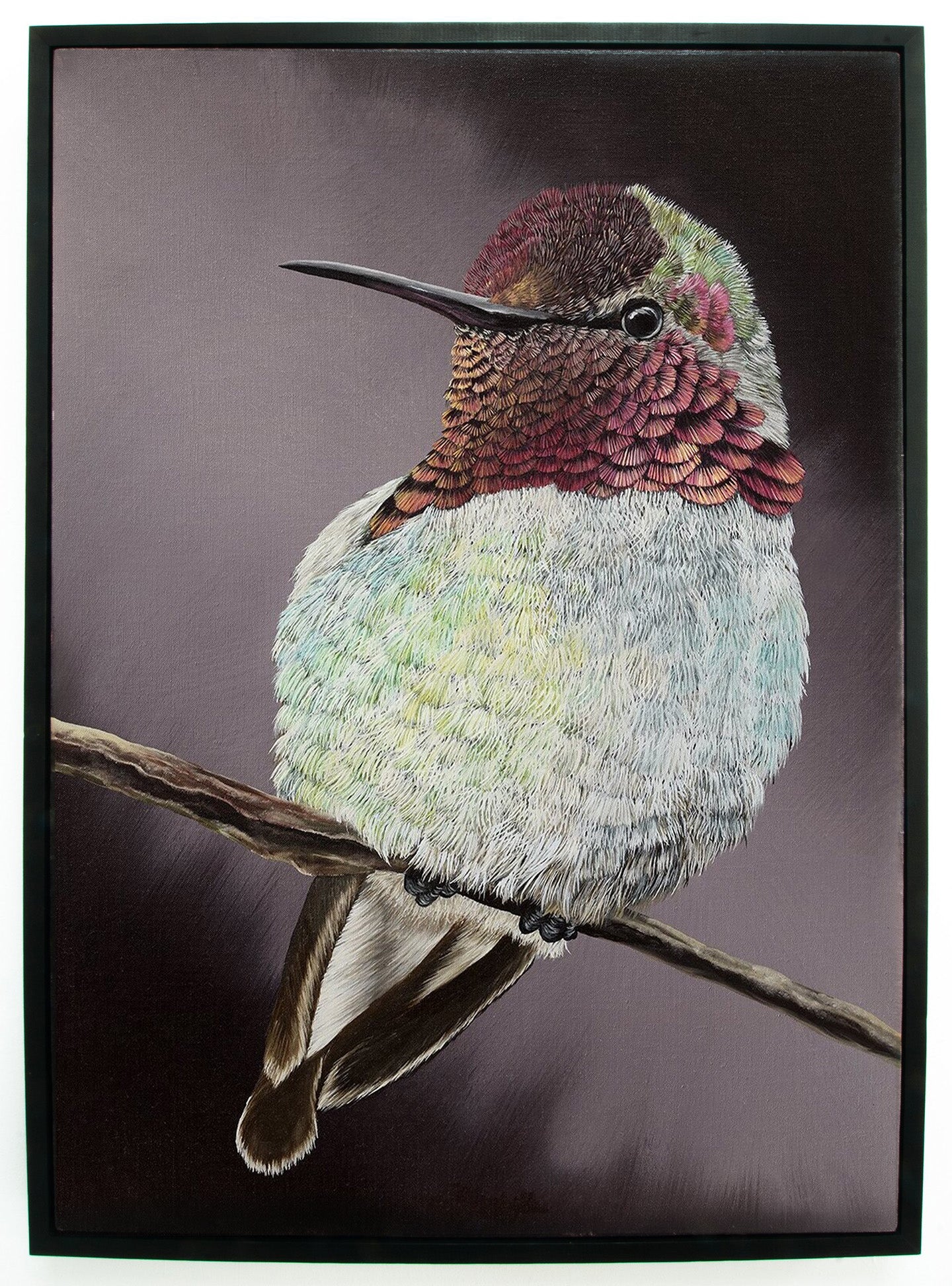 Hummingbird, Original Hummingbird Painting