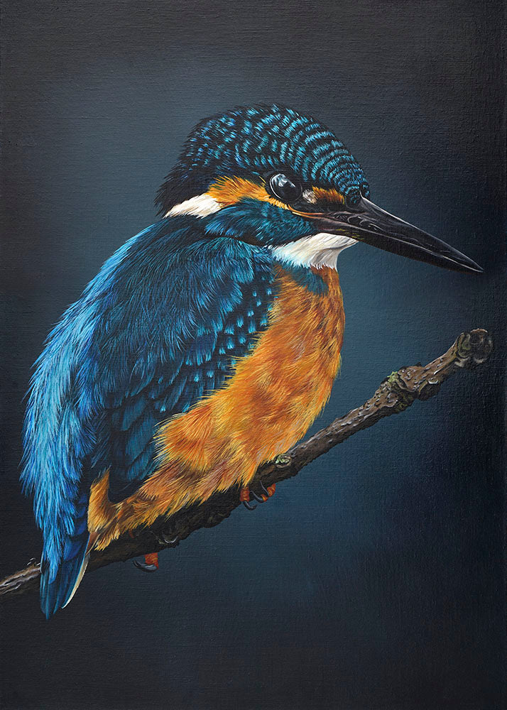 Evening Kingfisher, Original Kingfisher Oil Painting