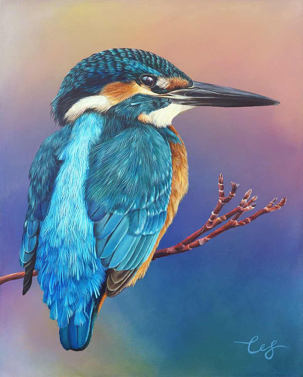 Dusk Kingfisher, Original Kingfisher Painting