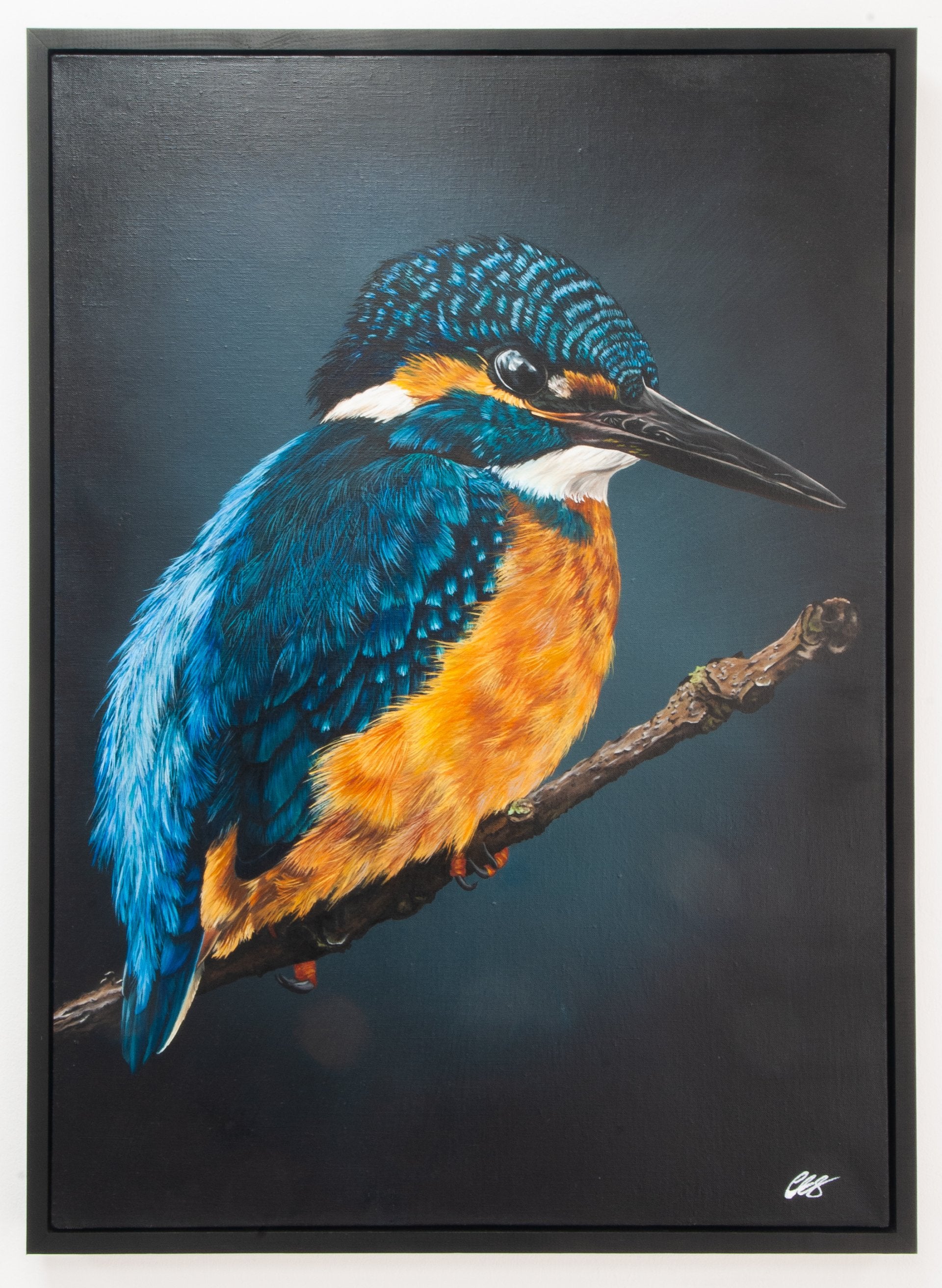 Evening Kingfisher, Original Kingfisher Oil Painting