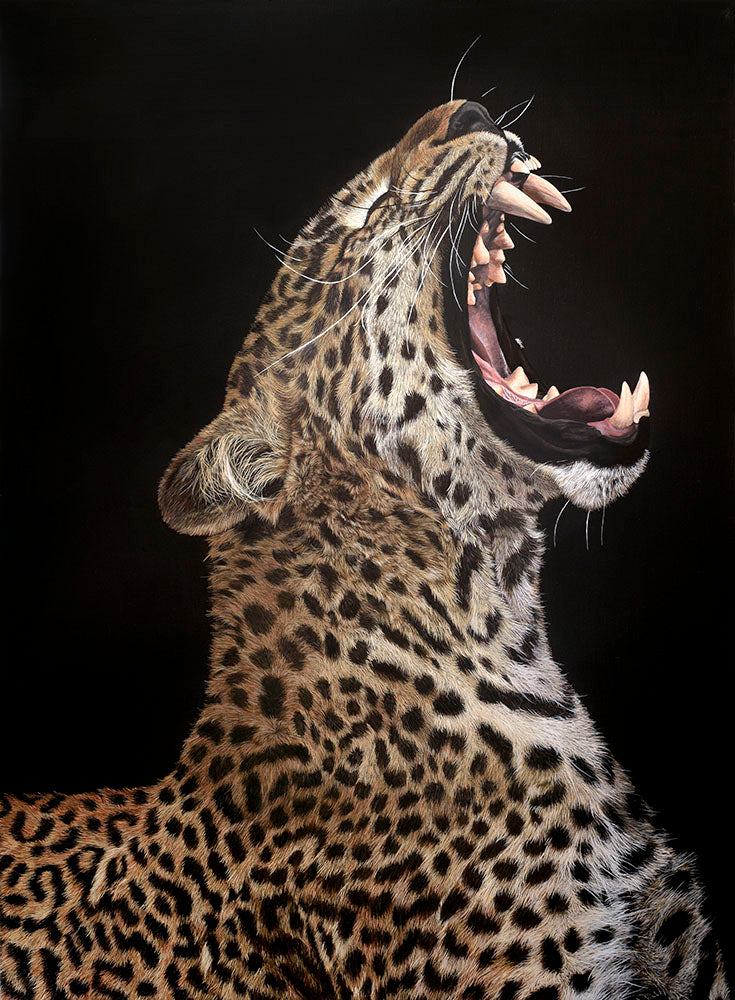 Slumber, Original Leopard Painting, Yawning Leopard