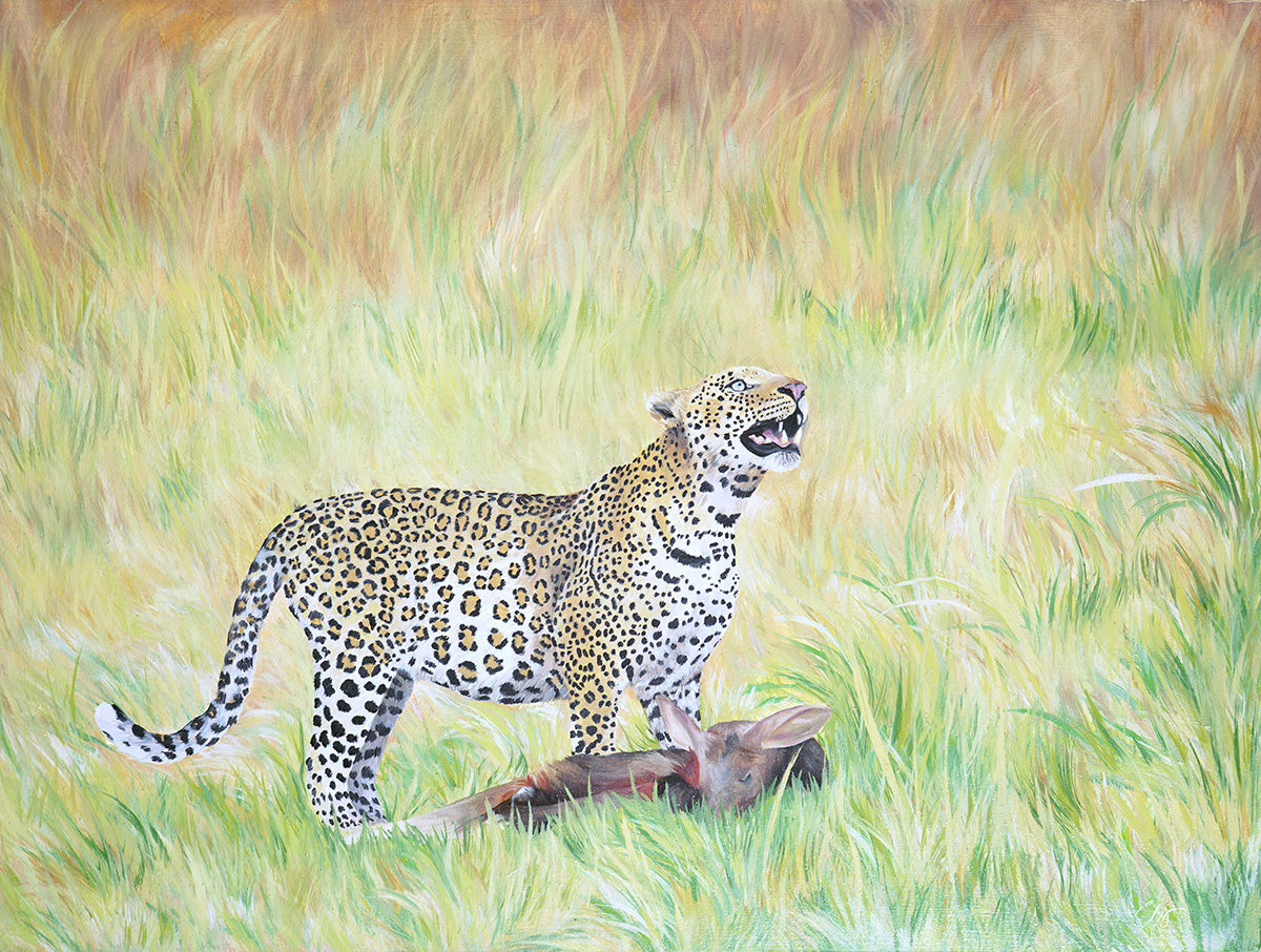 Leopard comissions