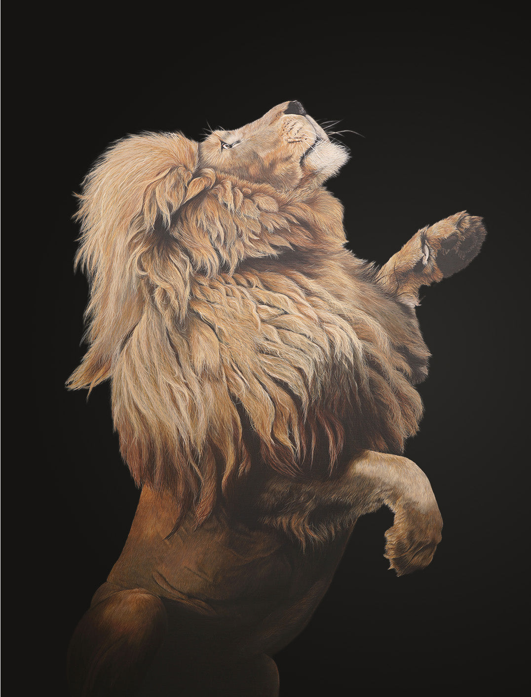 Lion paiting  fahari charlottesutton london wildlifeartist web lpbanmob
