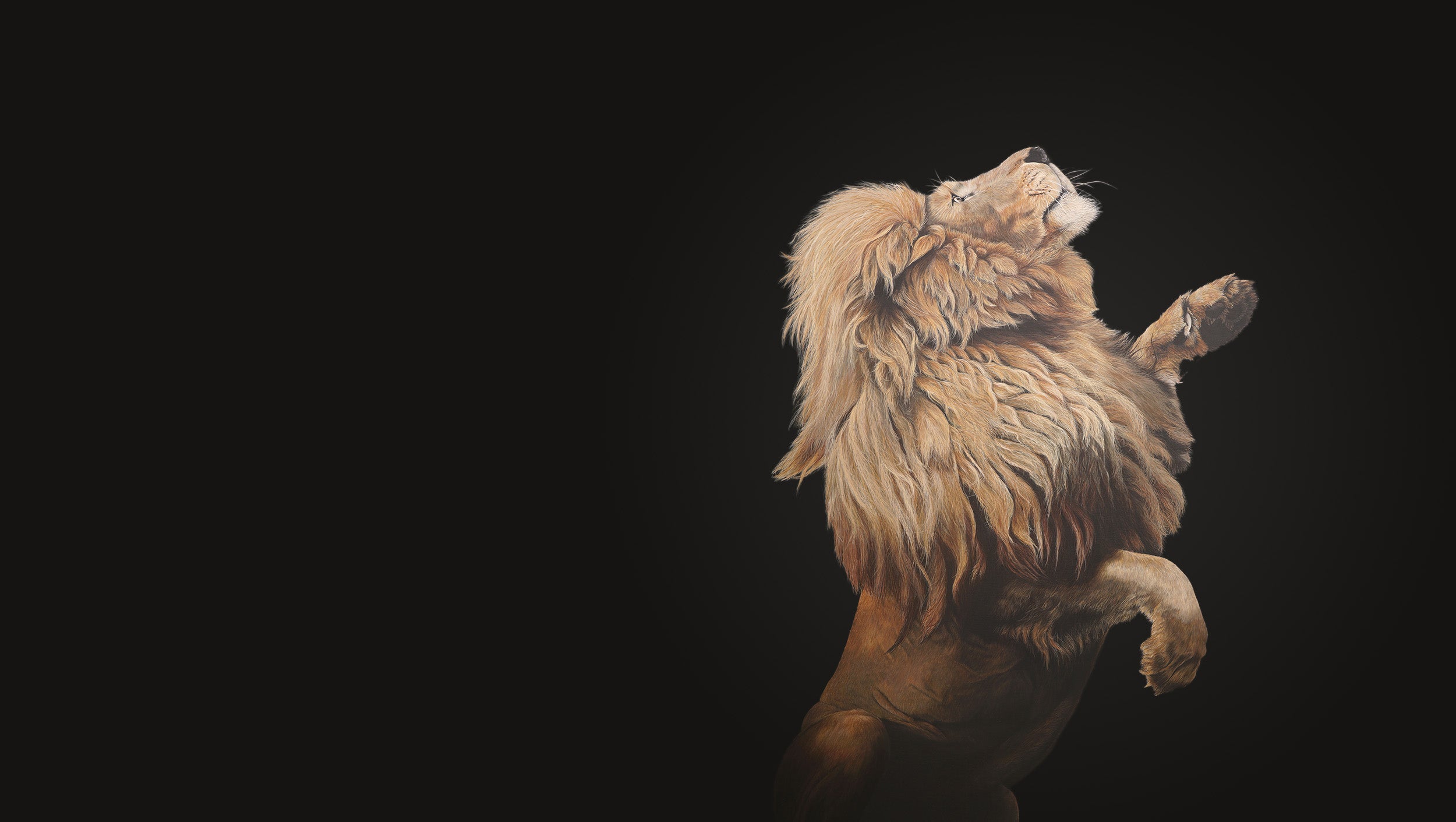 Lion painting fahari charlottesutton london wildlifeartist