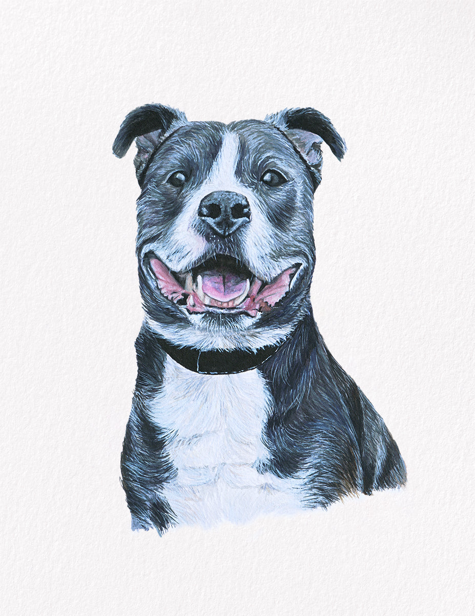 Marley dog portrait