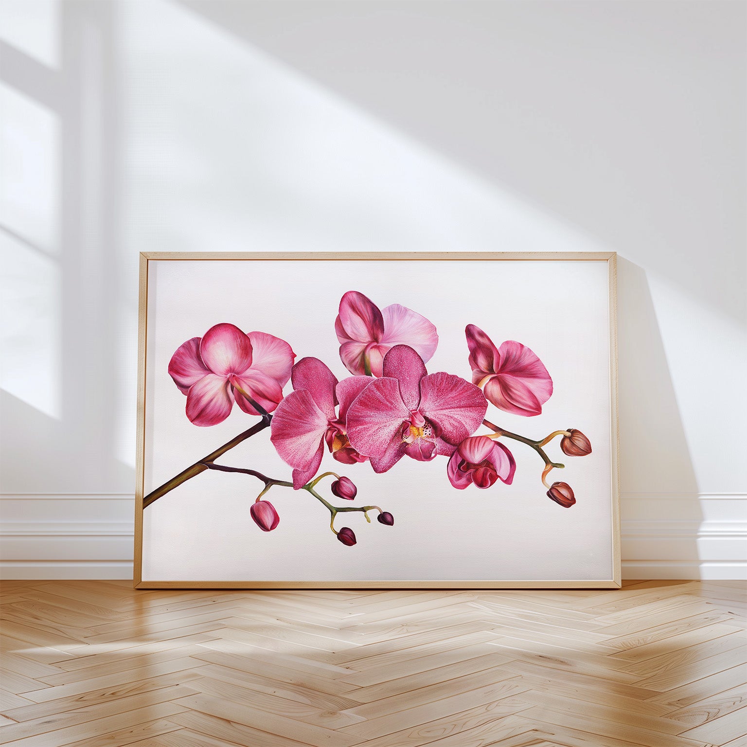 Orchid, Limited Edition Botanical Watercolour Print