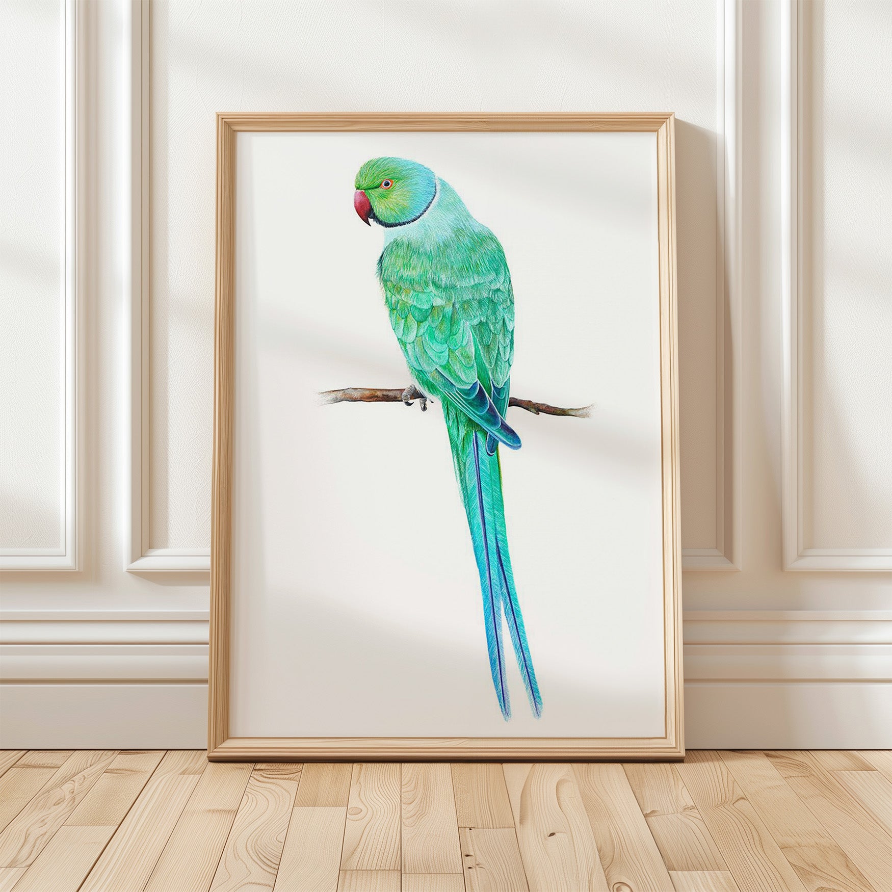 Ring Necked Parakeet, Fine Art Watercolour Print