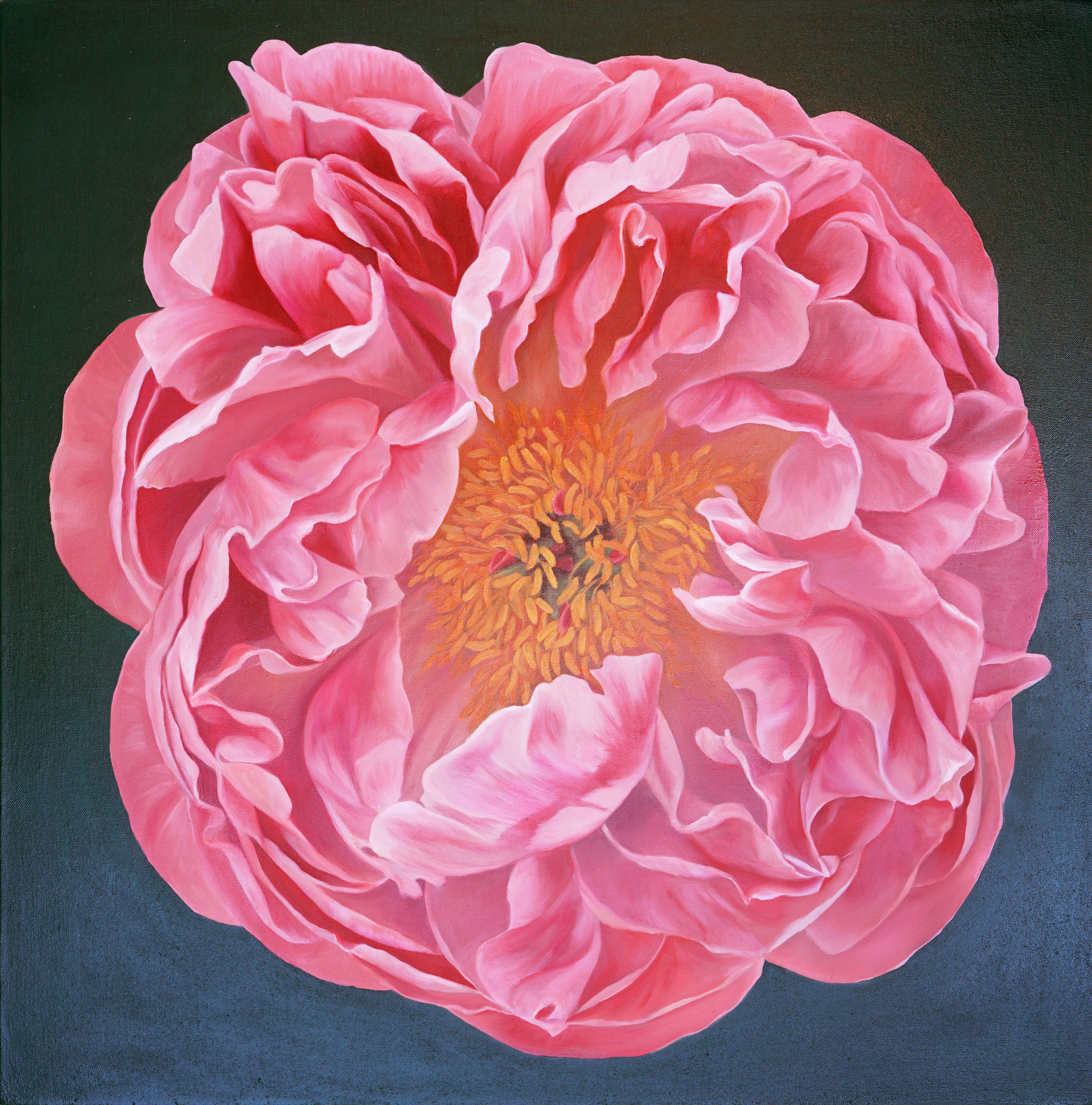 Peony 1 recoloured