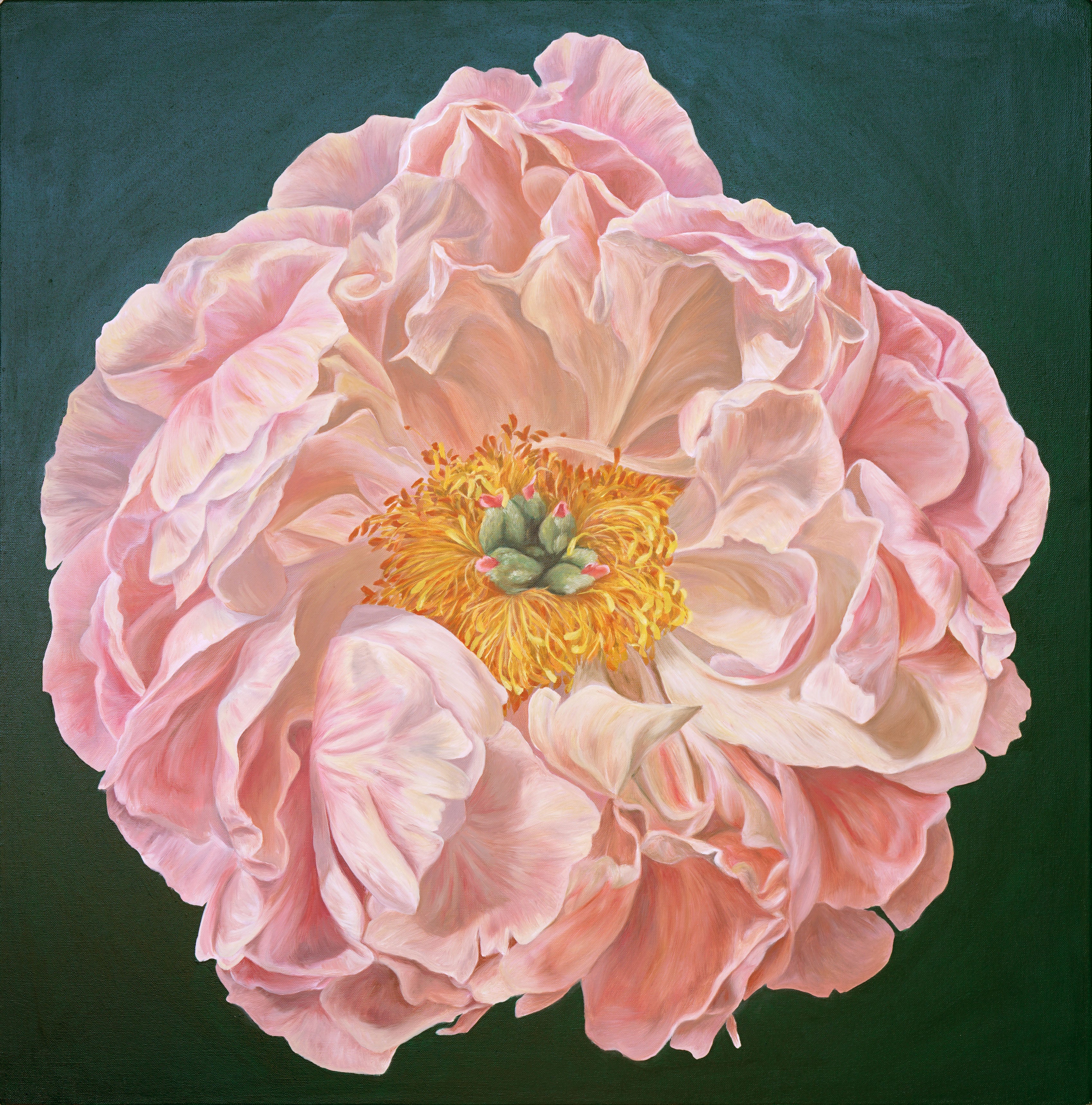 Peony 2 recoloured