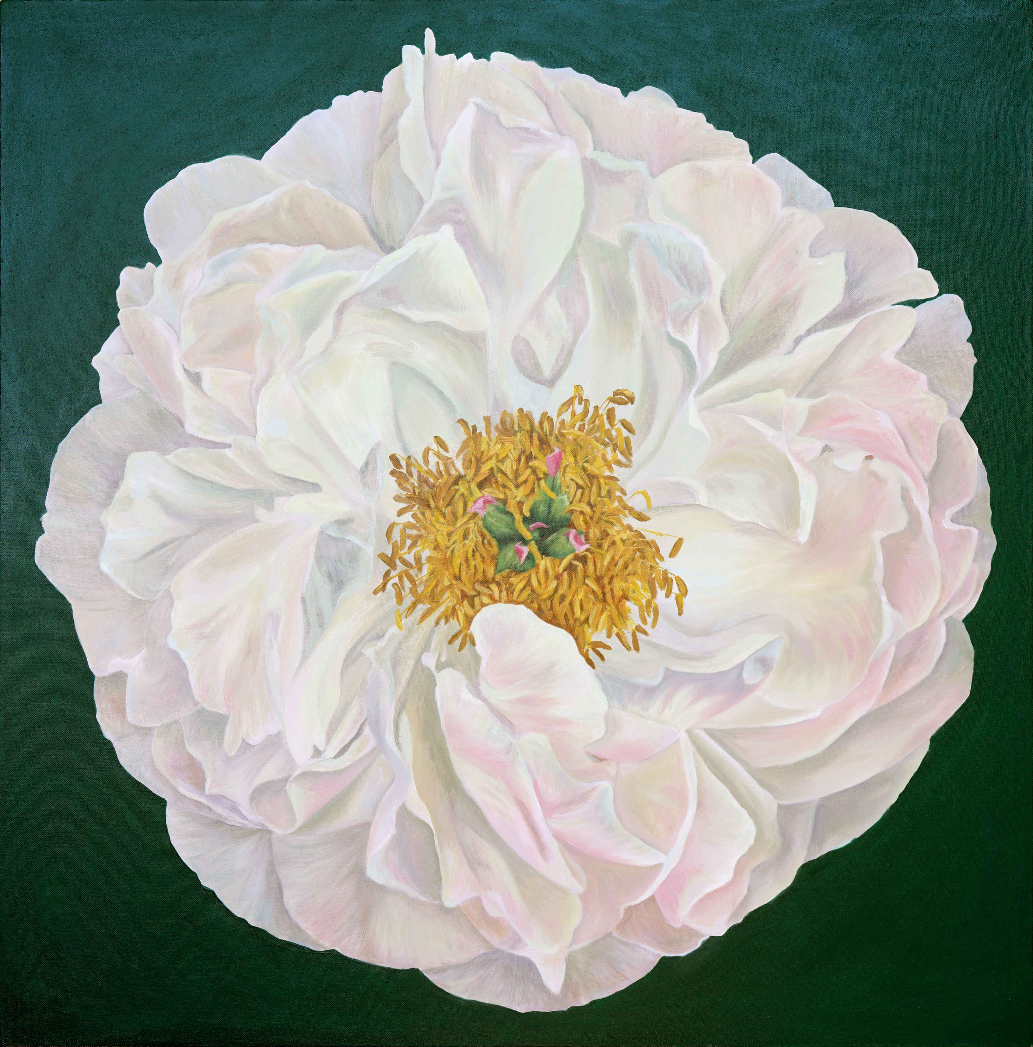 Peony 3 recoloured