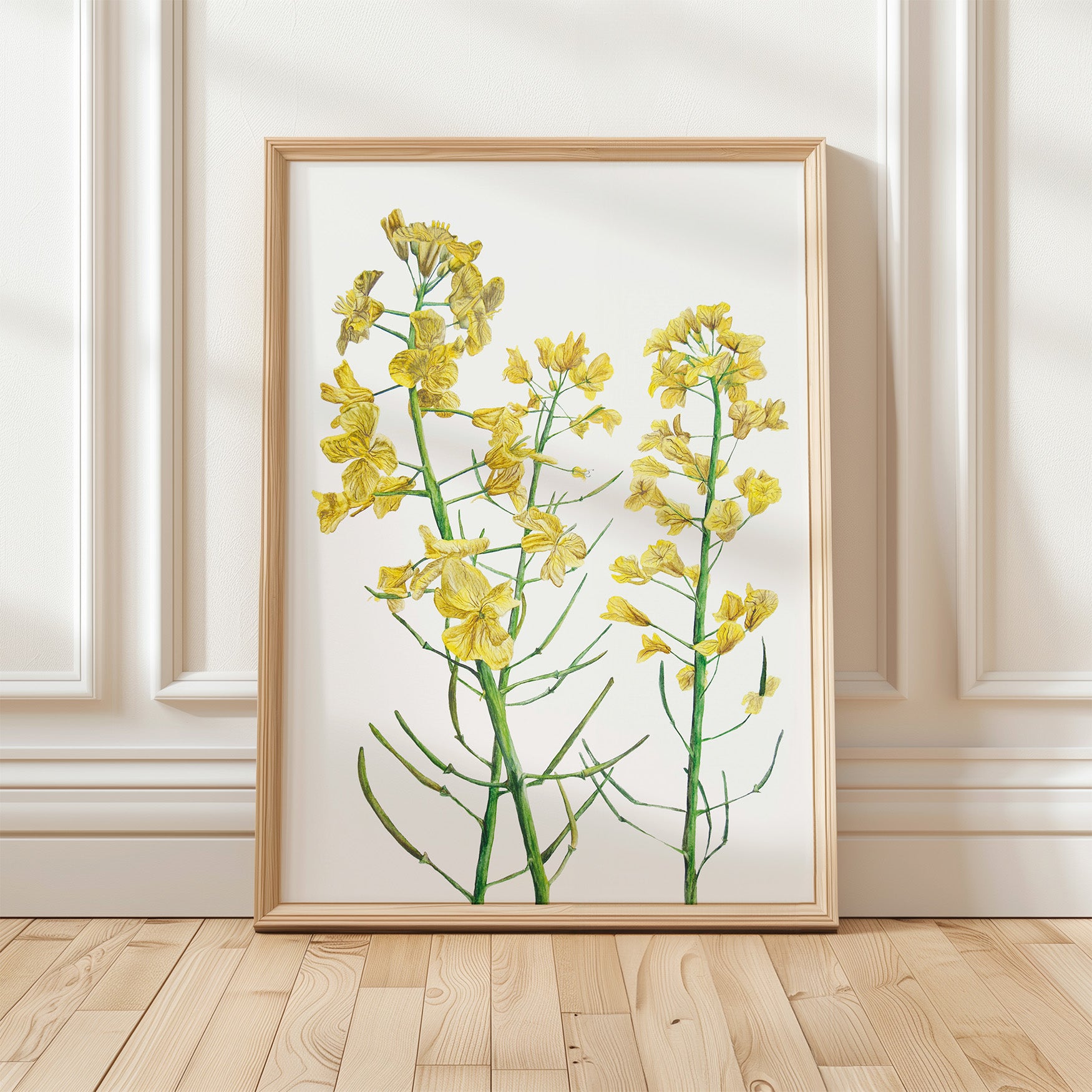 Rapeseed, Fine Art Watercolour Print