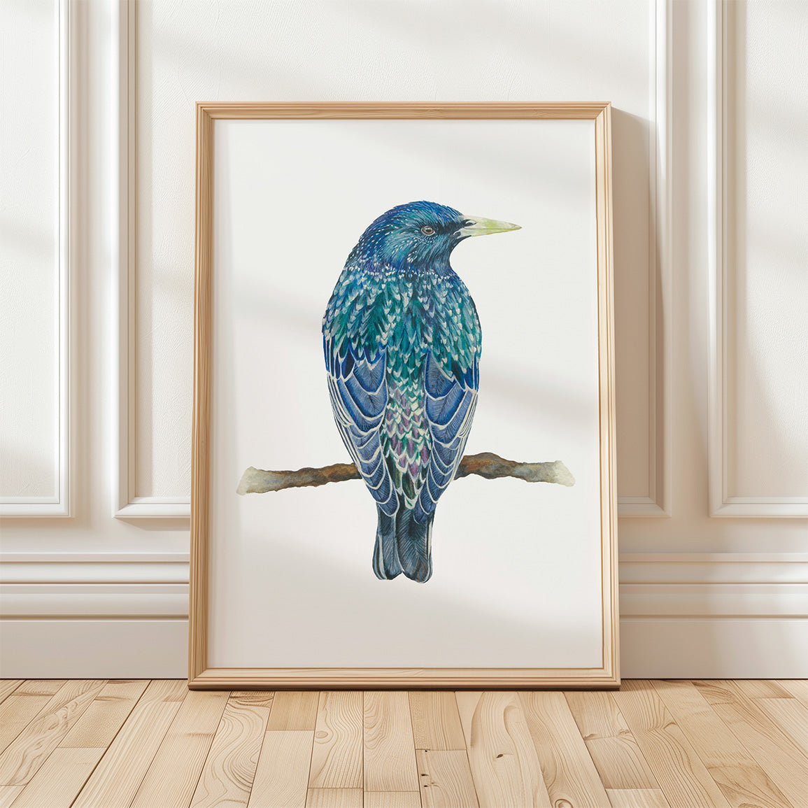 European Starling, Fine Art Watercolour Print