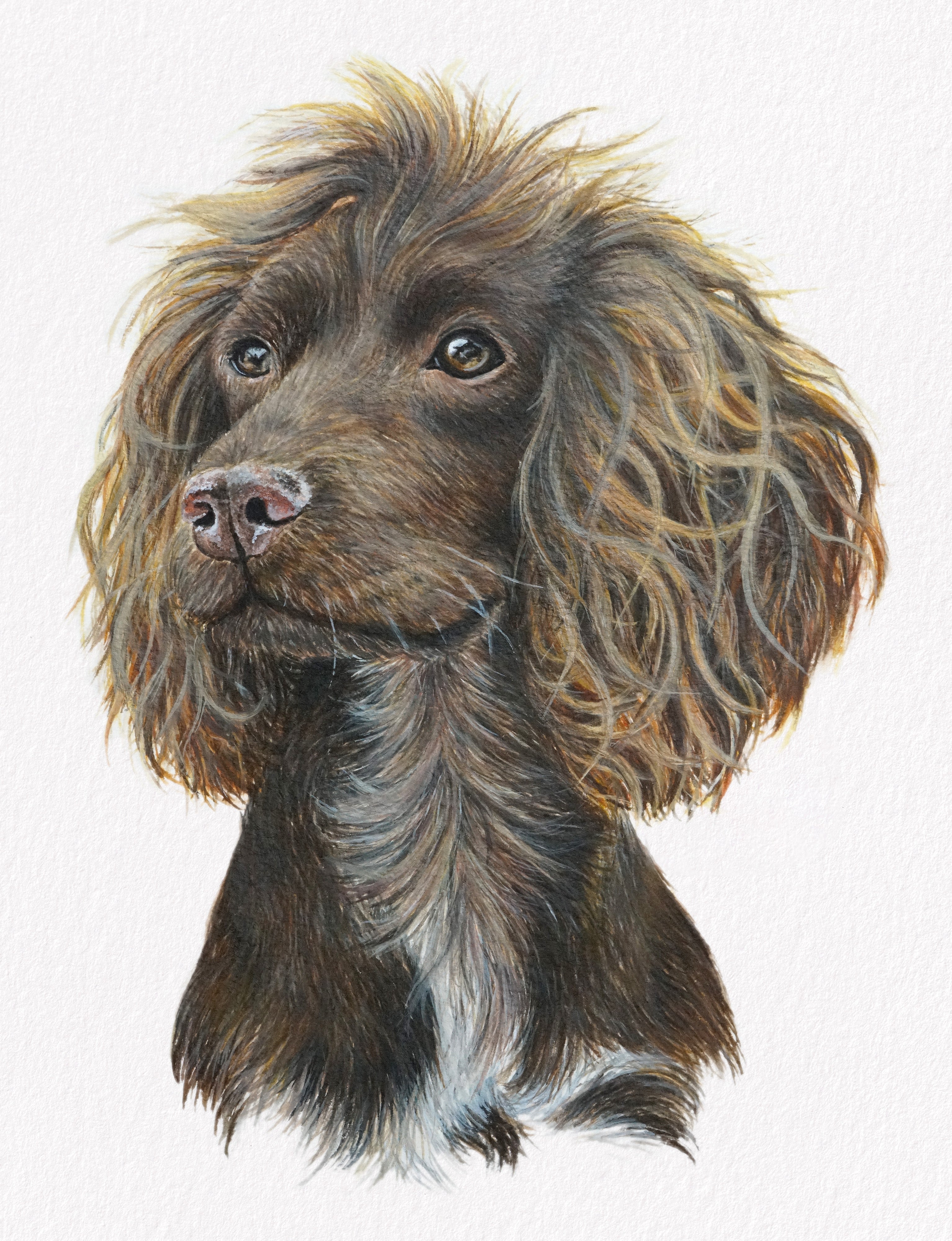 Truffle