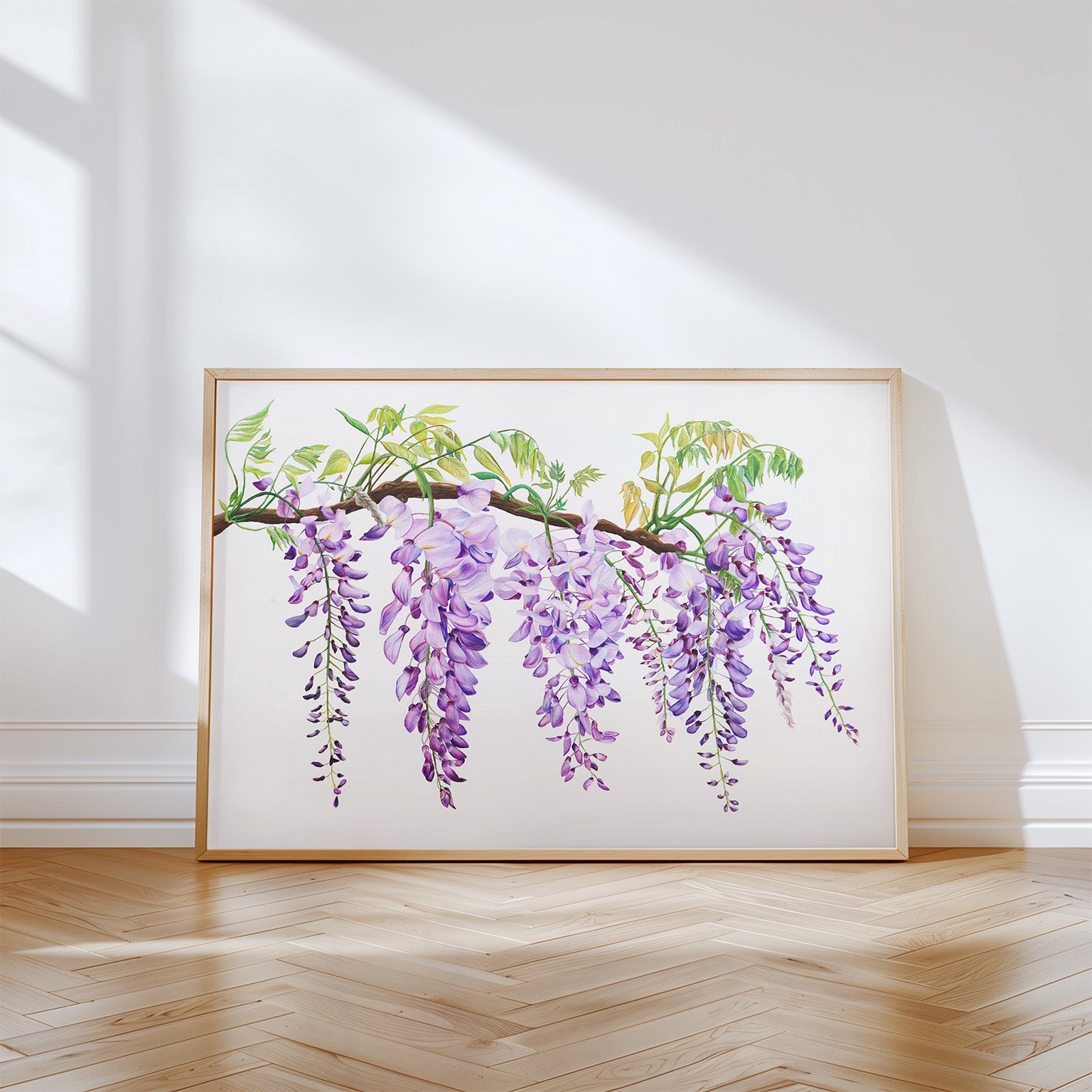Wisteria, Limited Edition Botanical Watercolour Print