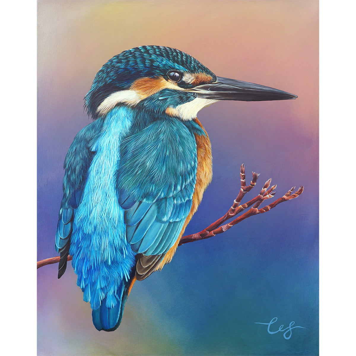 Dusk Kingfisher, Original Kingfisher Painting