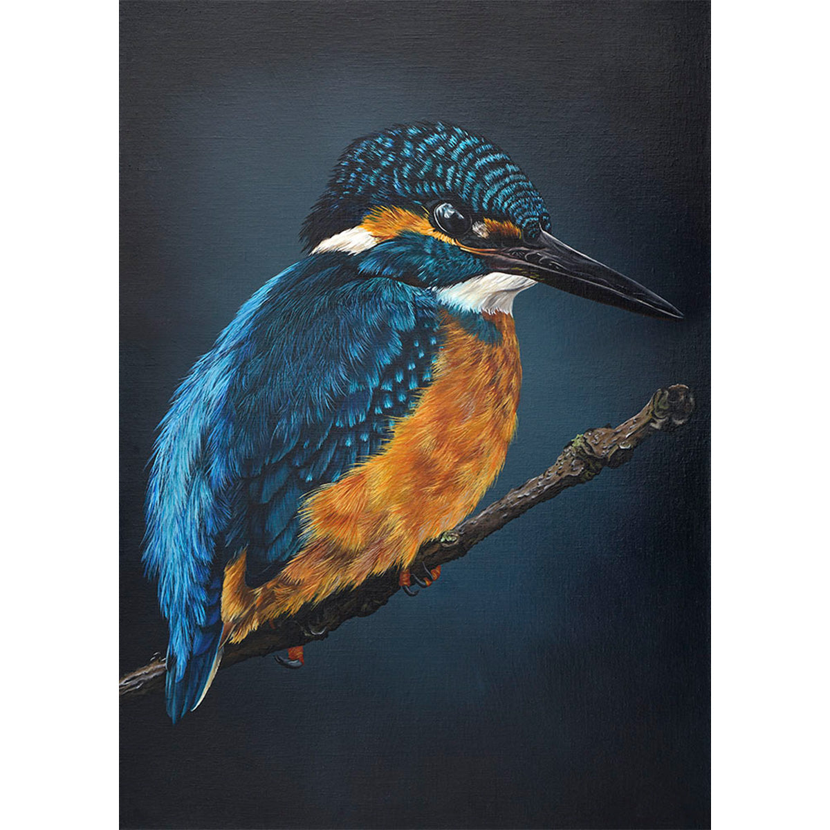 Evening Kingfisher, Original Kingfisher Oil Painting