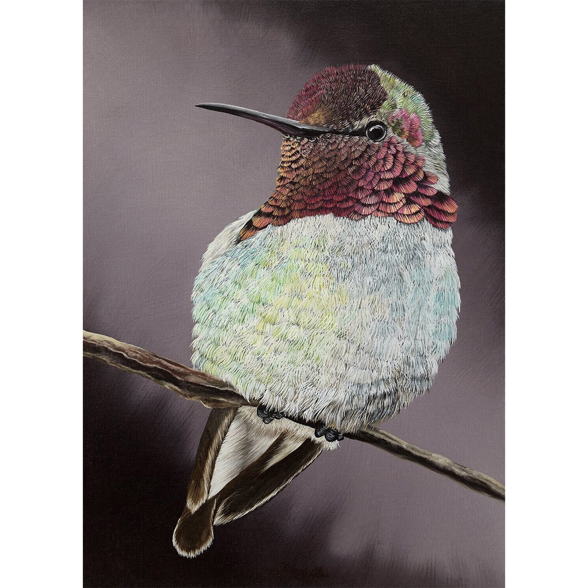 Hummingbird, Original Hummingbird Painting