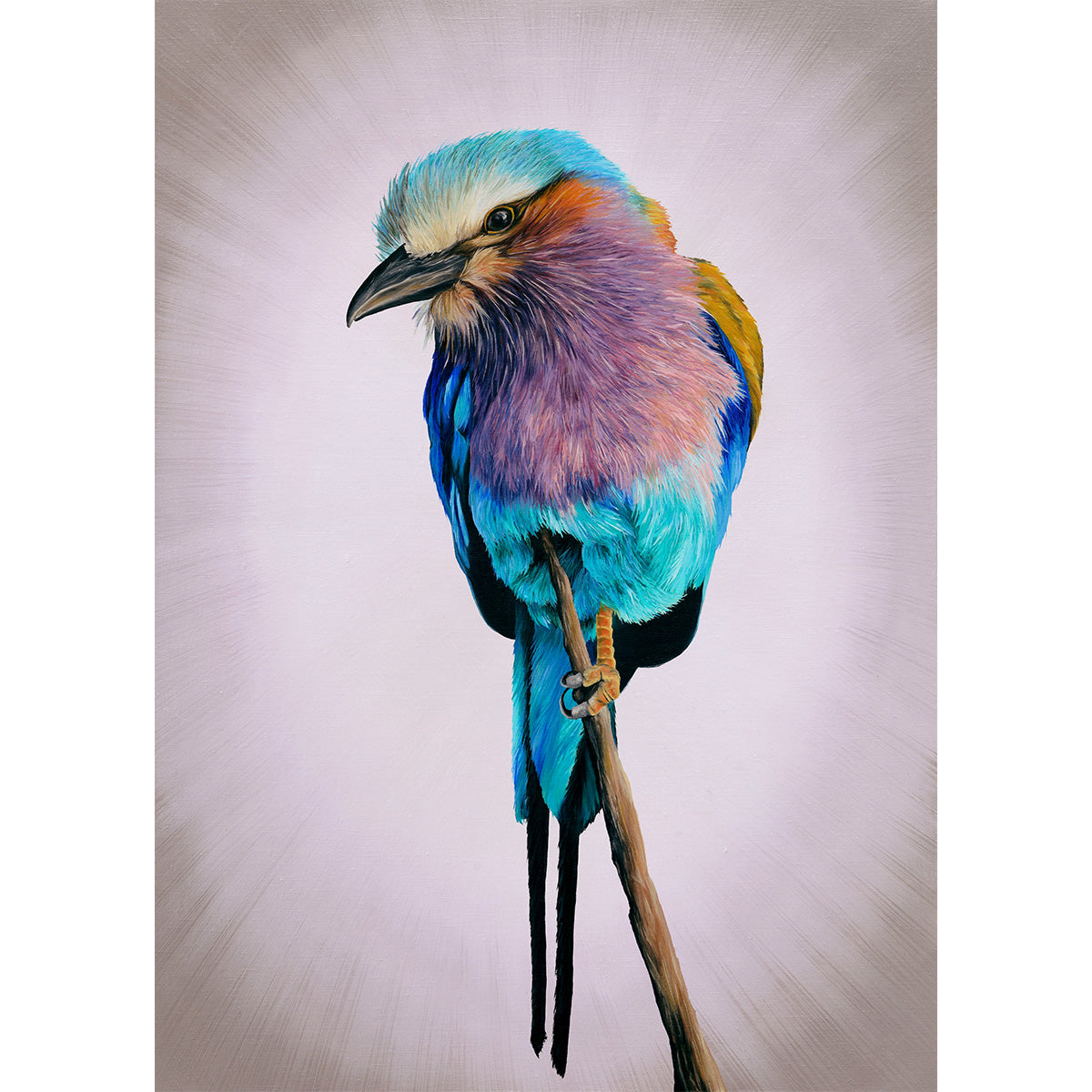 Lilac Breasted Roller, Original Bee Eater Oil Painting