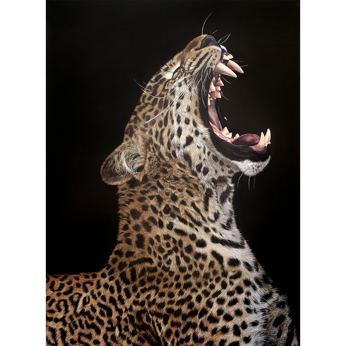 Slumber, Original Leopard Painting, Yawning Leopard