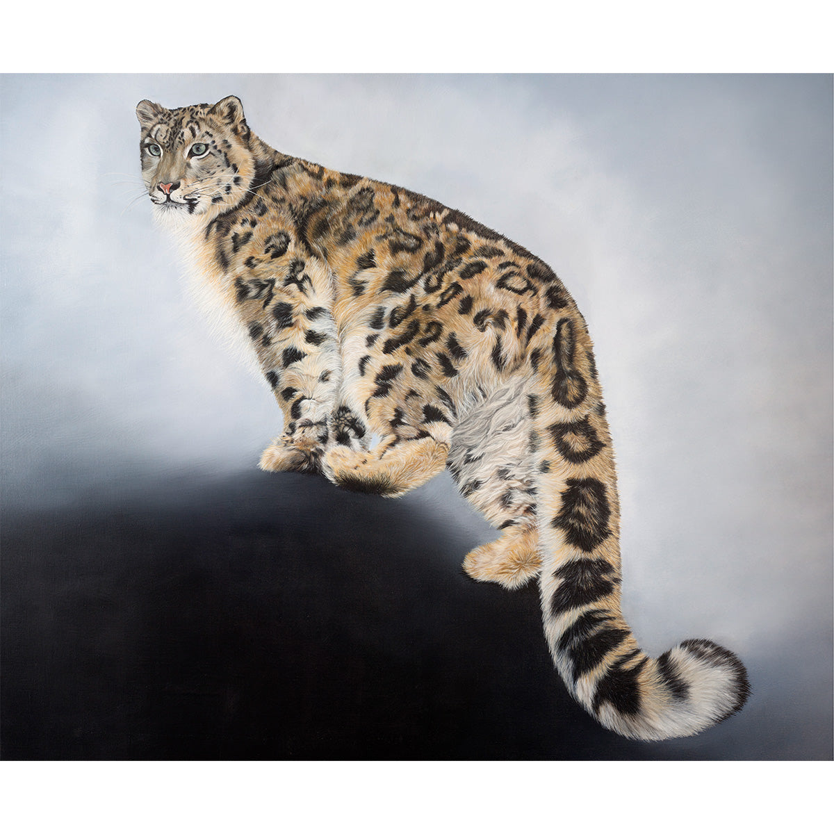 Snow Leopard, Original Snow Leopard Oil Painting