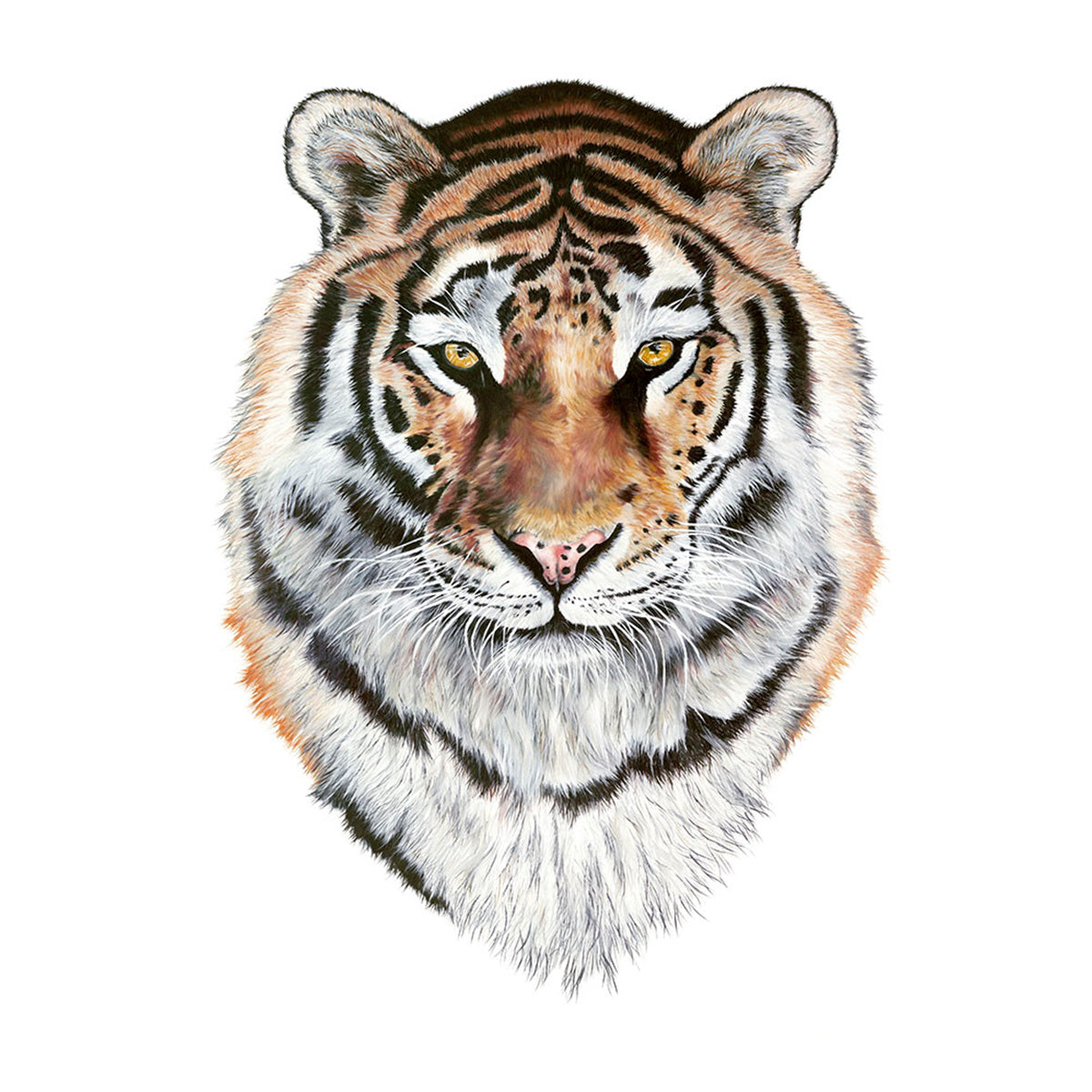 Tiger painting square gallery